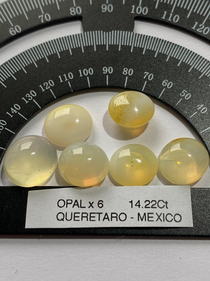 OPAL NATURAL MINED GEMSTONES x 6 : CARBONERA MINE, QUERETARO, MEXICO 14.22Ct MFG4888