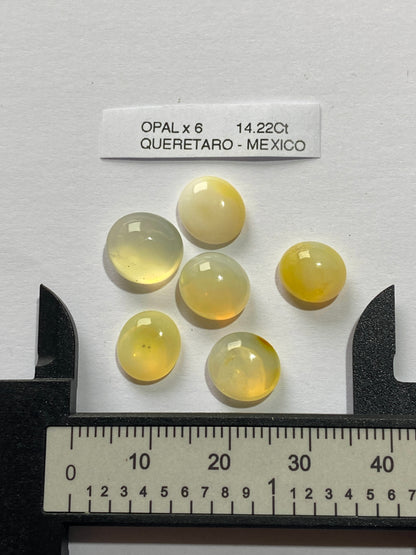 OPAL NATURAL MINED GEMSTONES x 6 : CARBONERA MINE, QUERETARO, MEXICO 14.22Ct MFG4888