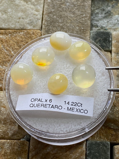 OPAL NATURAL MINED GEMSTONES x 6 : CARBONERA MINE, QUERETARO, MEXICO 14.22Ct MFG4888