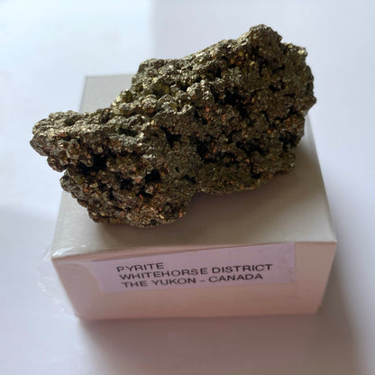 PYRITE CRYSTAL ASSEMBLAGE - WHITEHORSE DISTRICT, THE YUKON, CANADA. 62g MF1082