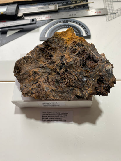 LIMONITE [ETC] : GRAVEL HILL MINE, PERRANZABULOE, CORNWALL, ENGLAND 405g MF4858