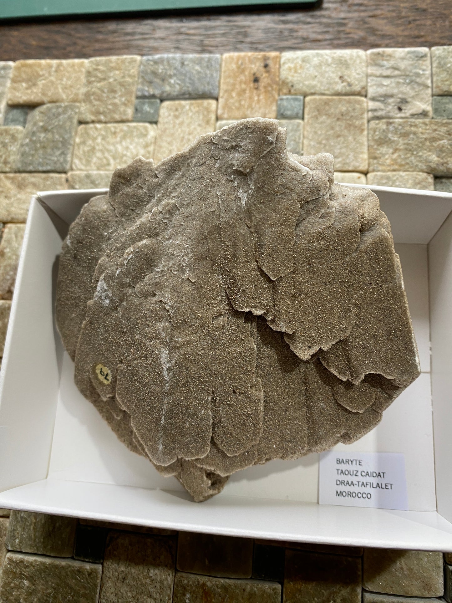 DESERT ROSE BARYTE : TAOUZ CAIDAT, DRAA-TAFILALET, MOROCCO. 319g MF4859