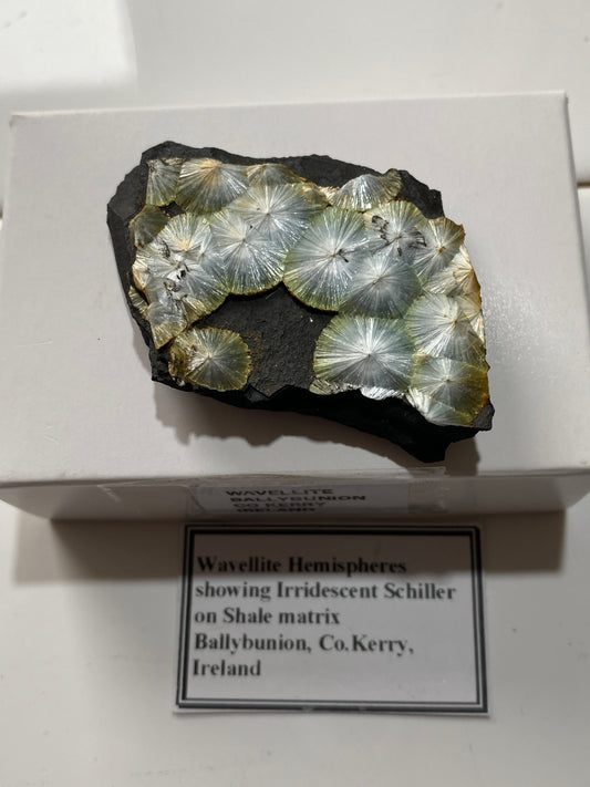 WAVELLITE RARE SPECIMEN FROM BALLYBUNNION, KERRY COUNTY, MUNSTER, IRELAND 20g MF4860