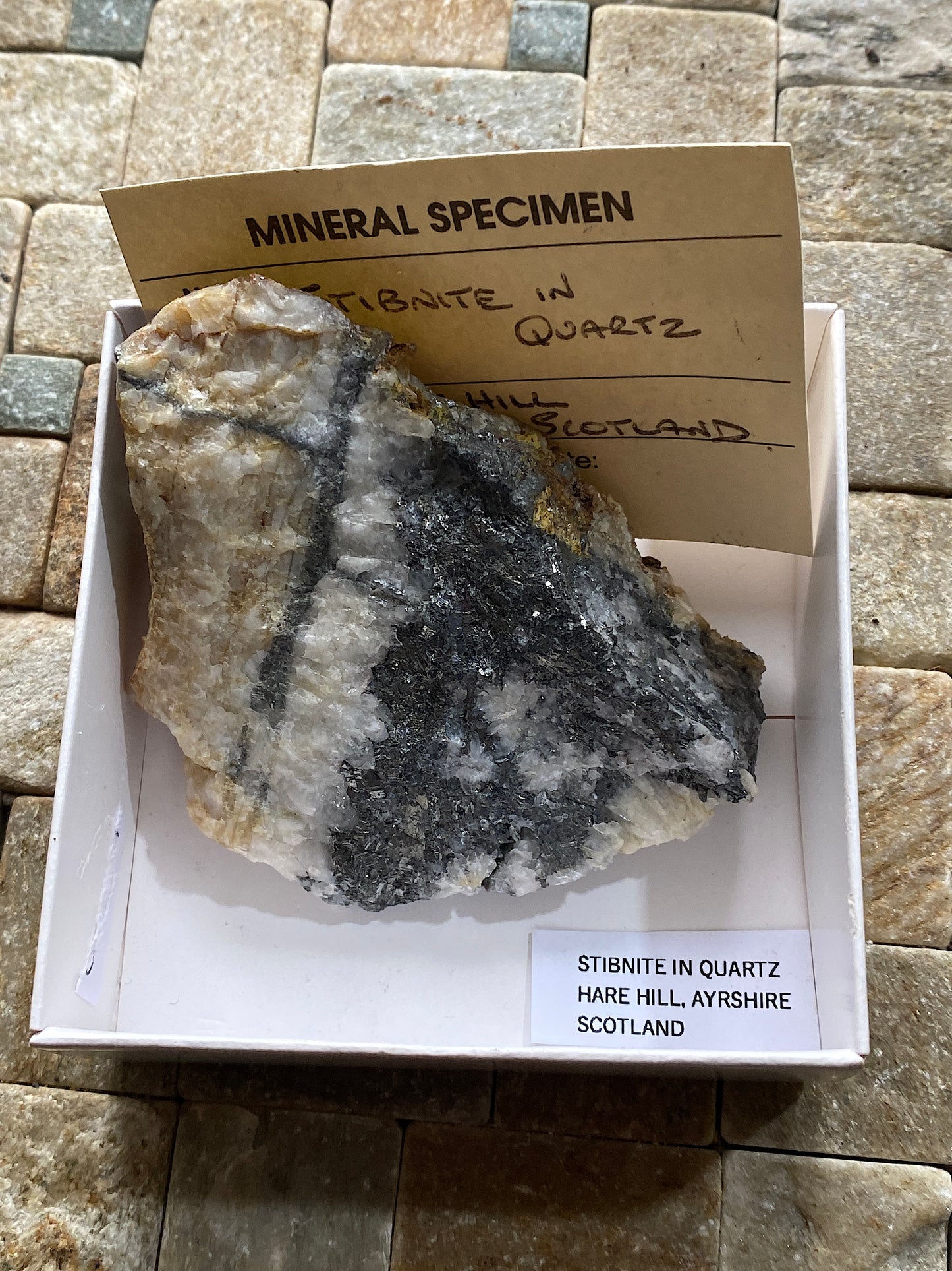 STIBNITE IN QUARTZ : HARE HILL, NEW CUMNOCK, AYRSHIRE, SCOTLAND 104g MF4861