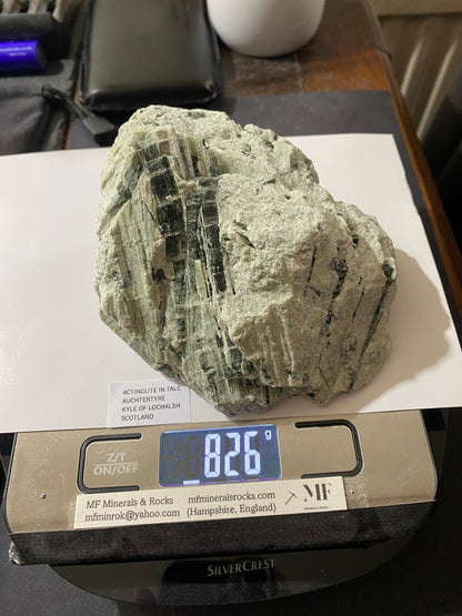 ACTINOLITE IN TALC : MAOL BEAG, AUCHTERTYRE, KYLE OF LOCHALSH, SCOTLAND 826g MF4862