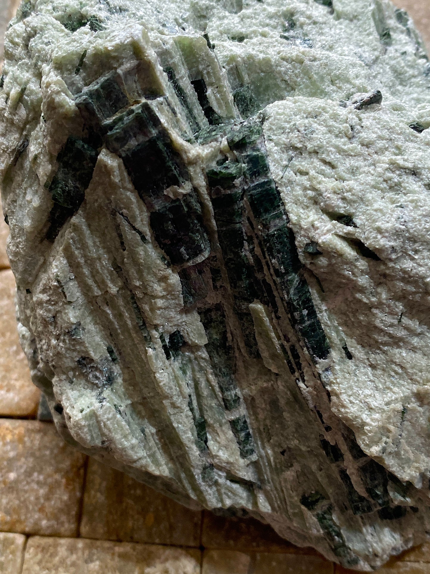 ACTINOLITE IN TALC : MAOL BEAG, AUCHTERTYRE, KYLE OF LOCHALSH, SCOTLAND 826g MF4862