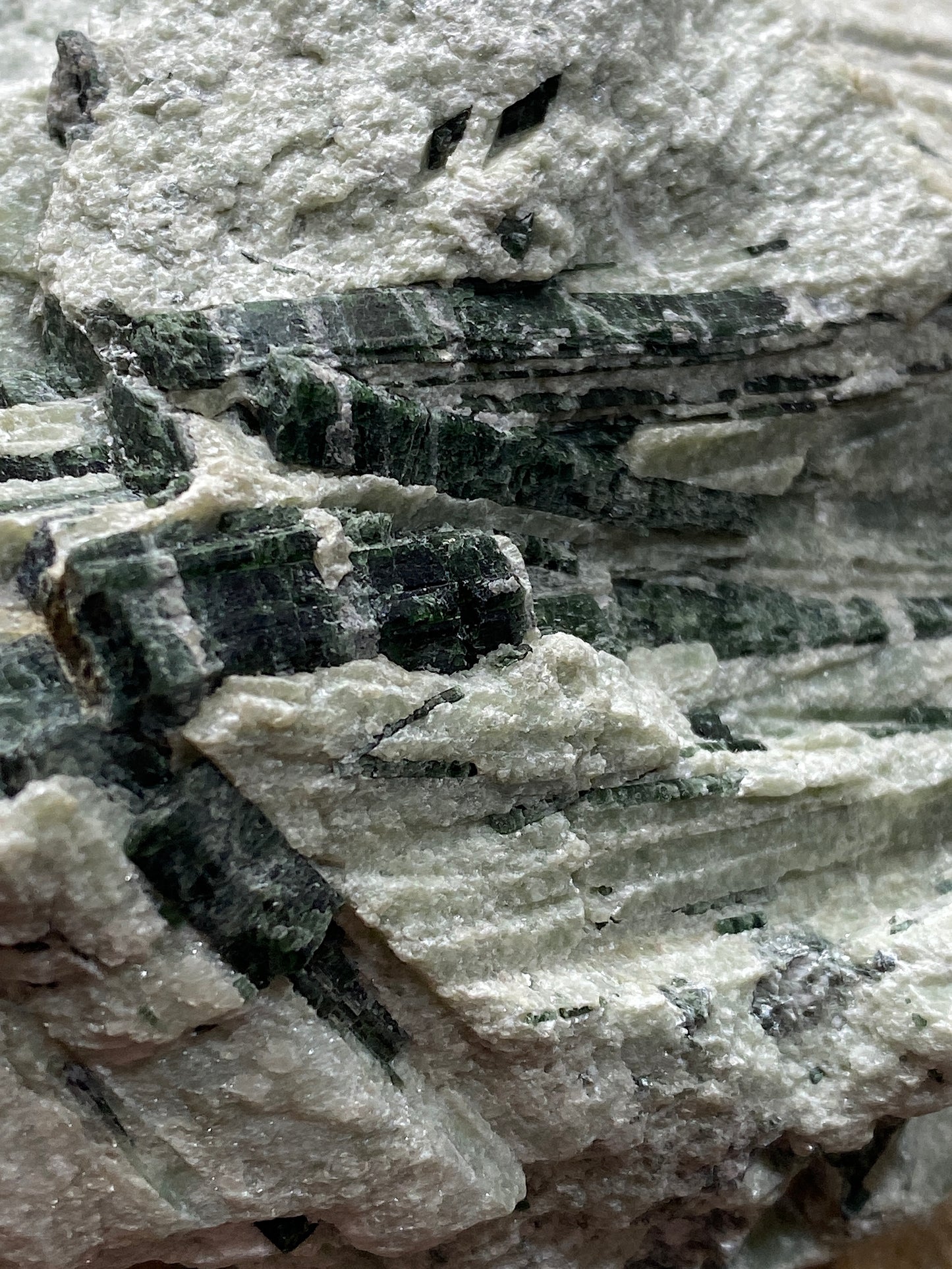 ACTINOLITE IN TALC : MAOL BEAG, AUCHTERTYRE, KYLE OF LOCHALSH, SCOTLAND 826g MF4862