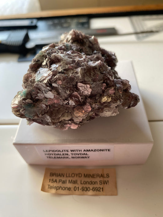 LEPIDOLITE WITH AMAZONITE : HOYDALEN, TOVDAL, TELEMARK, NORWAY. 179g MF4865