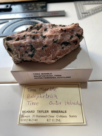 TIREE MARBLE : BALEPHETRISH, TIREE,OUTER HEBRIDES, SCOTLAND  120g MF4866