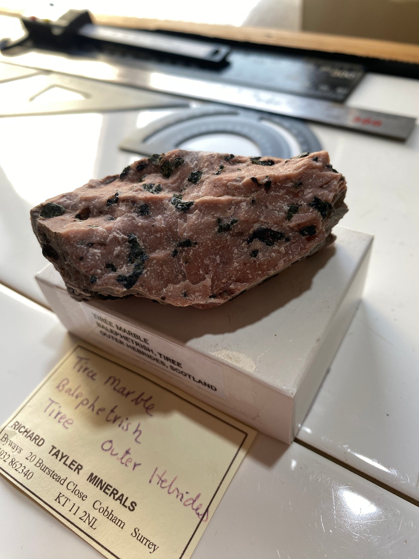 TIREE MARBLE : BALEPHETRISH, TIREE,OUTER HEBRIDES, SCOTLAND  120g MF4866