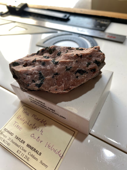 TIREE MARBLE : BALEPHETRISH, TIREE,OUTER HEBRIDES, SCOTLAND  120g MF4866