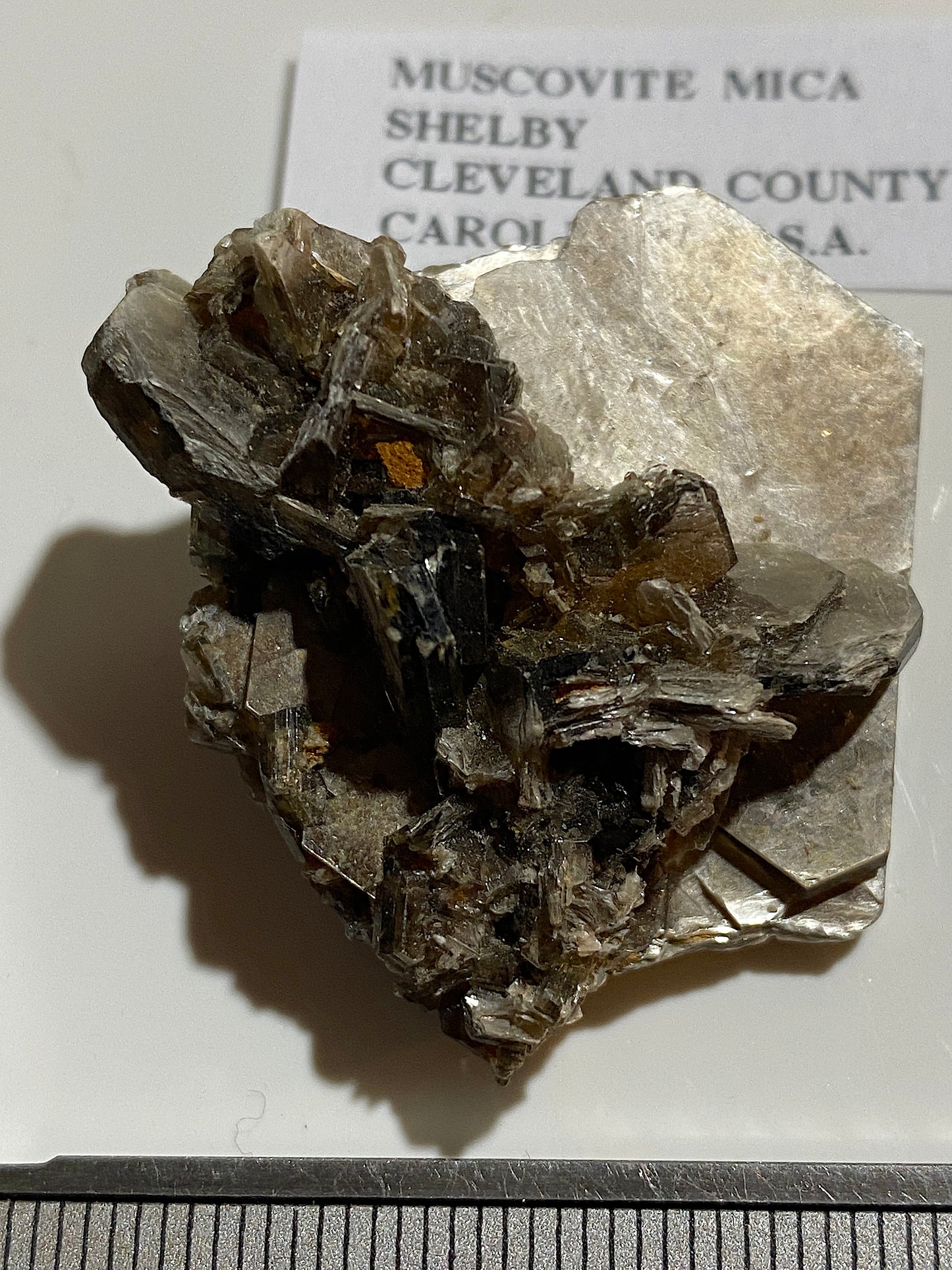 MUSCOVITE MICA : SHELBY, CLEVELAND CO, NORTH CAROLINA, U.S.A. 15g MF4762