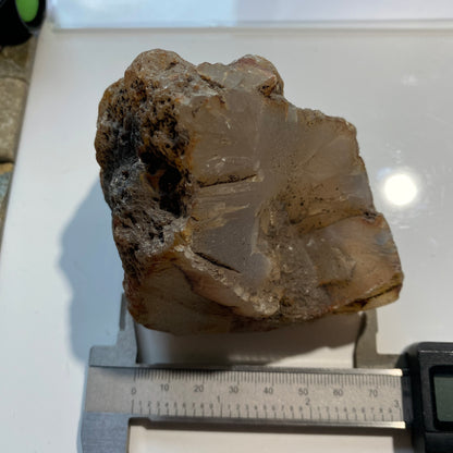 CHALCEDONY MICROCRYSTALLINE QUARTZ - ROCKHOUND STATE PARK, NEW MEXICO U.S.A.  400g MF1115