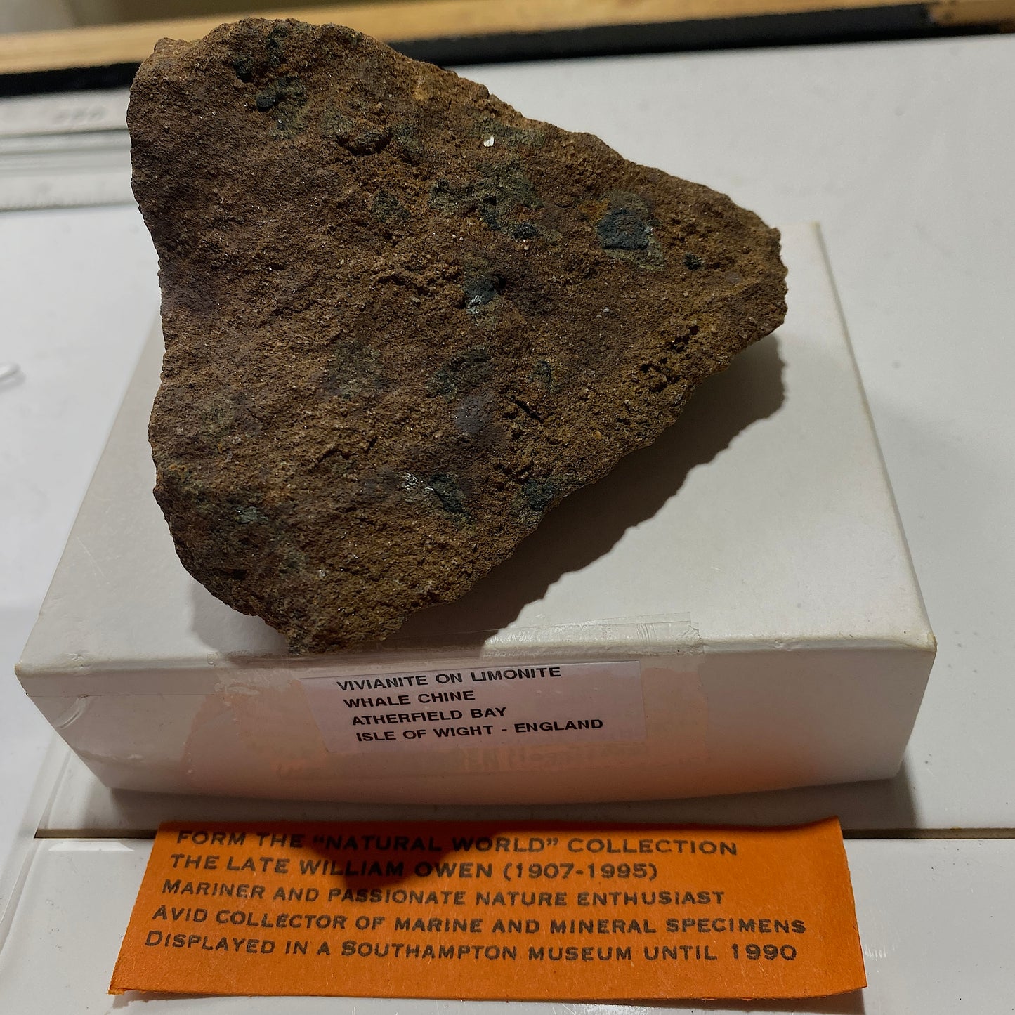 VIVIANITE TRACES ON LIMONITE - WHALE CHINE, ATHERFIELD BAY, ISLA OF WIGHT 212g MF1136