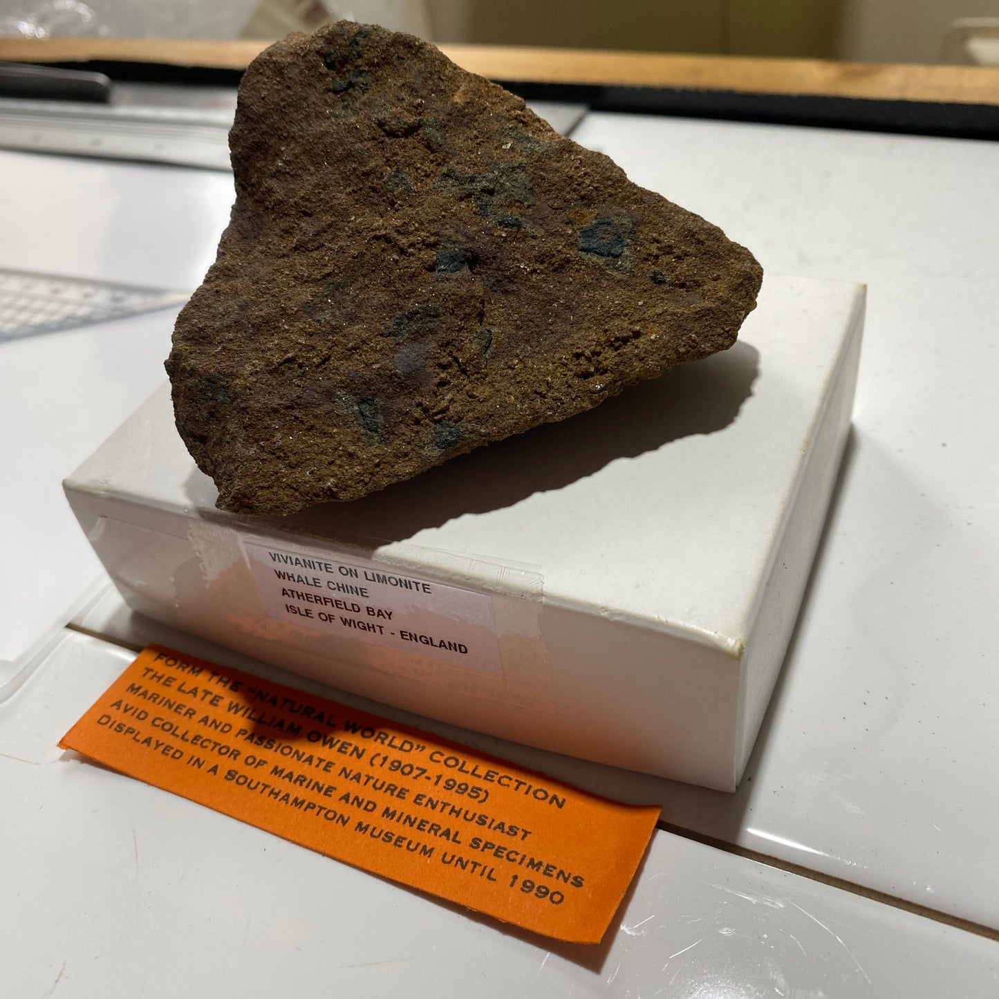 VIVIANITE TRACES ON LIMONITE - WHALE CHINE, ATHERFIELD BAY, ISLA OF WIGHT 212g MF1136