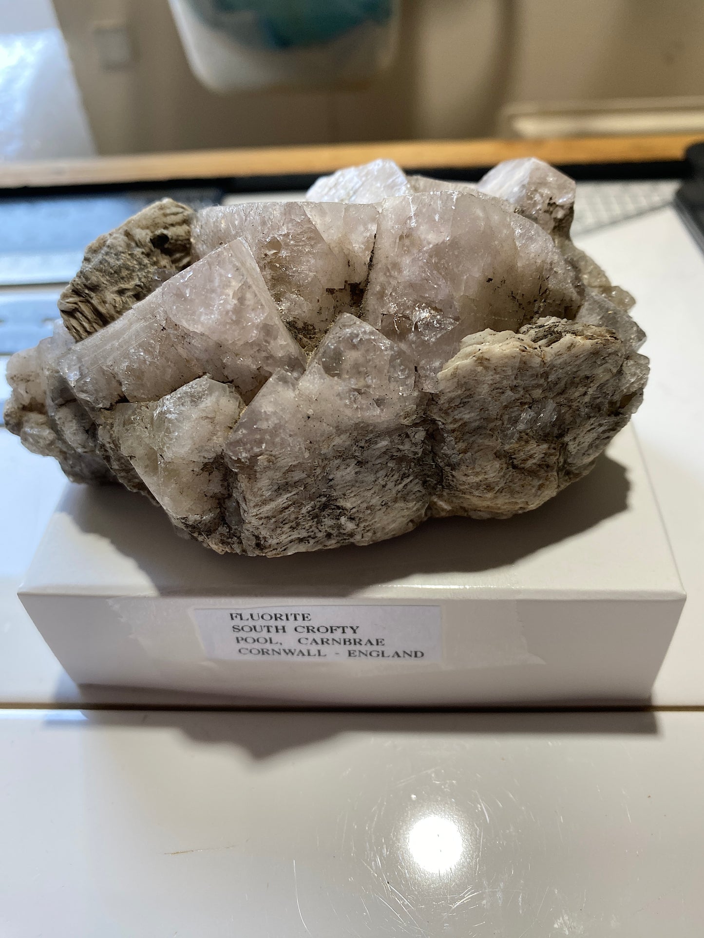 FLUORITE : SOUTH CROFTY, POOL, CARN BRAU, CORNWALL, ENGLAND 480g MF4765