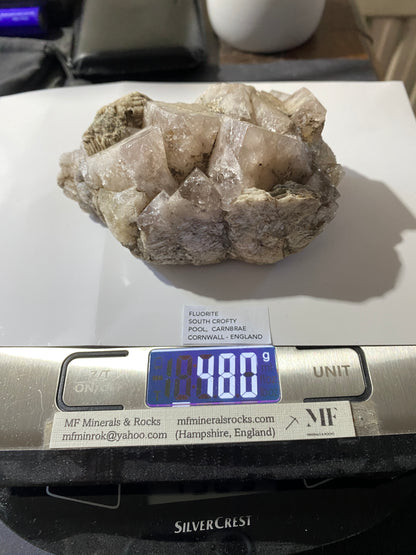 FLUORITE : SOUTH CROFTY, POOL, CARN BRAU, CORNWALL, ENGLAND 480g MF4765