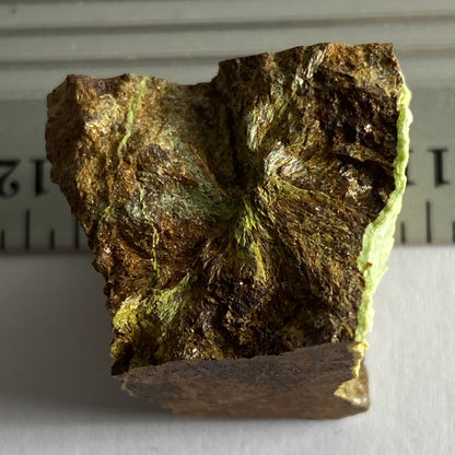 GASPEITE IN MATRIX, 132 NICKEL MINE, WIDGIEMOOLTHA, AUSTRALIA. MF1645