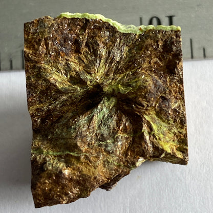 GASPEITE IN MATRIX, 132 NICKEL MINE, WIDGIEMOOLTHA, AUSTRALIA. MF1645