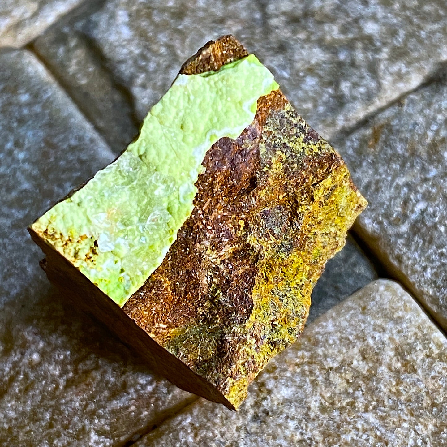 GASPEITE IN MATRIX, 132 NICKEL MINE, WIDGIEMOOLTHA, AUSTRALIA. MF1645