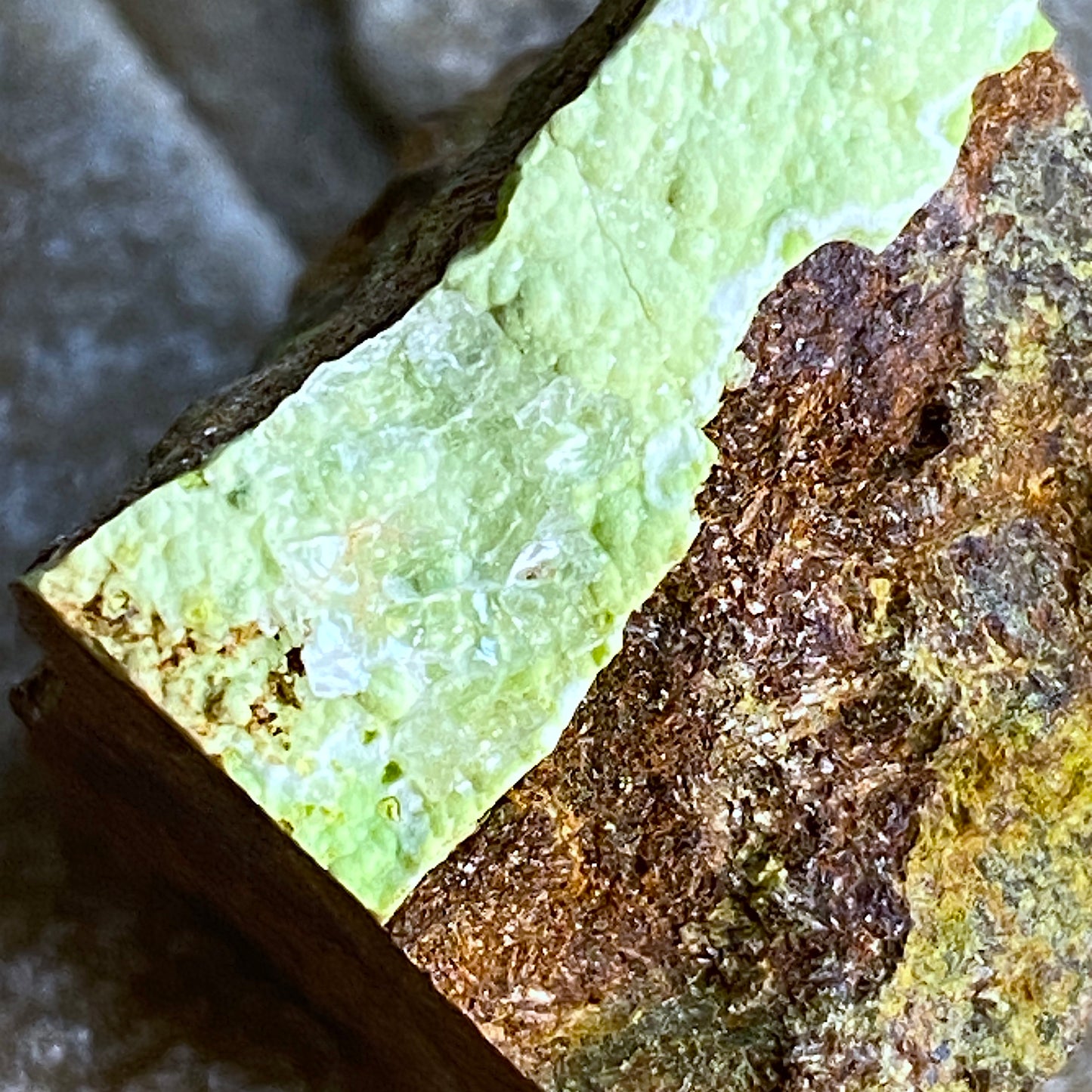 GASPEITE IN MATRIX, 132 NICKEL MINE, WIDGIEMOOLTHA, AUSTRALIA. MF1645