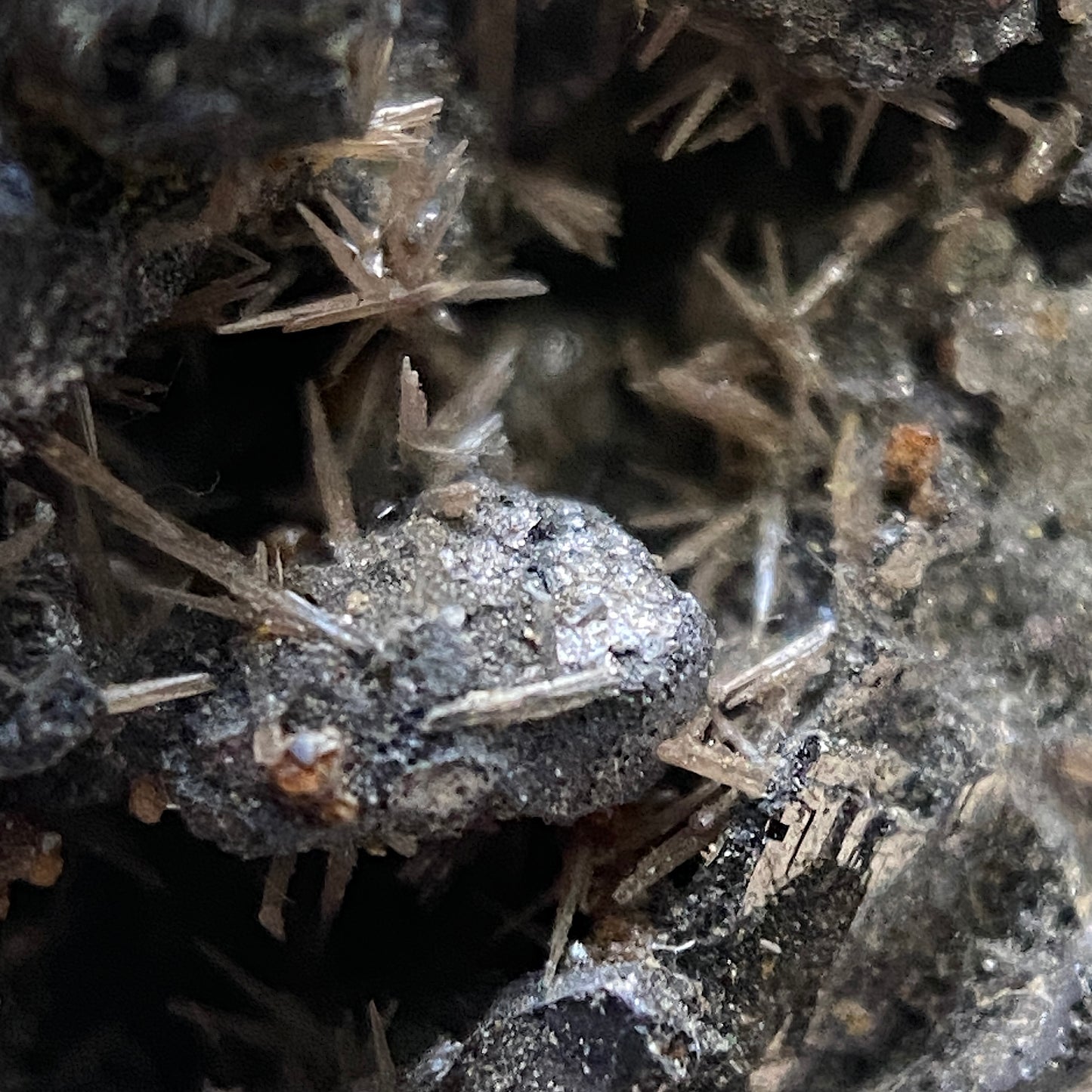 MINERAL DE PLATA/PLOMO DE BROKEN HILL, NSW AUSTRALIA 44g MF1147