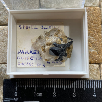 MUESTRAS RARAS DE ESPINEL/OLIVINA DE LA MINA PARKER, QUEBEC, CANADÁ. 5g MF1148