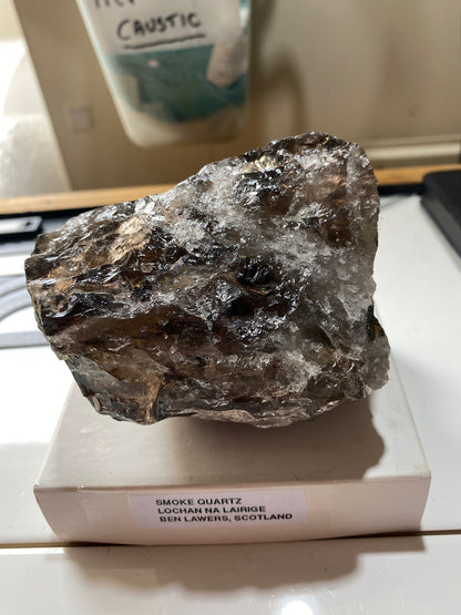 SMOKE QUARTZ [ETC] : LOCHAN NA LAIRAGE, BENLAWERS, SCOTLAND. 607g. MF4873