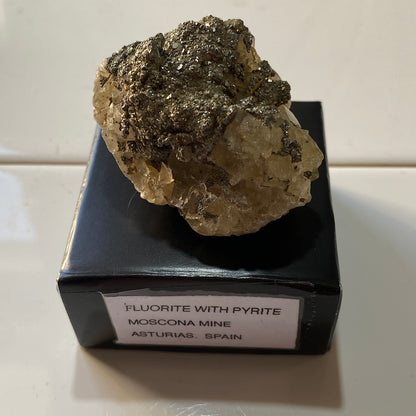 FLUORITE WITH PYRITE - MOSCONA MINE, ASTURIAS, SPAIN. 62g MF1134