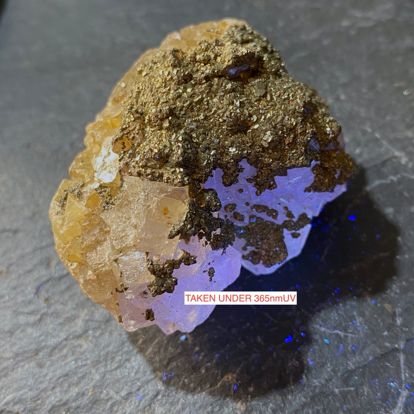 FLUORITE WITH PYRITE - MOSCONA MINE, ASTURIAS, SPAIN. 62g MF1134
