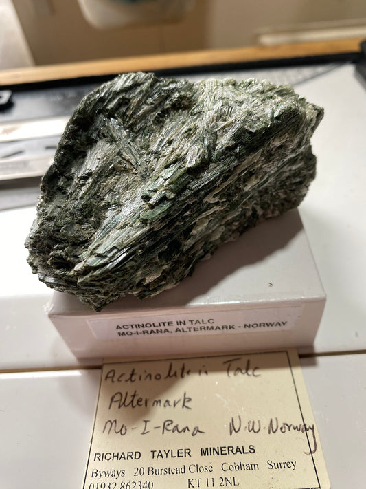 ACTINOLITE IN TALC : MO-I-RANA, ALTERMARK, NORWAY   204g MF4877