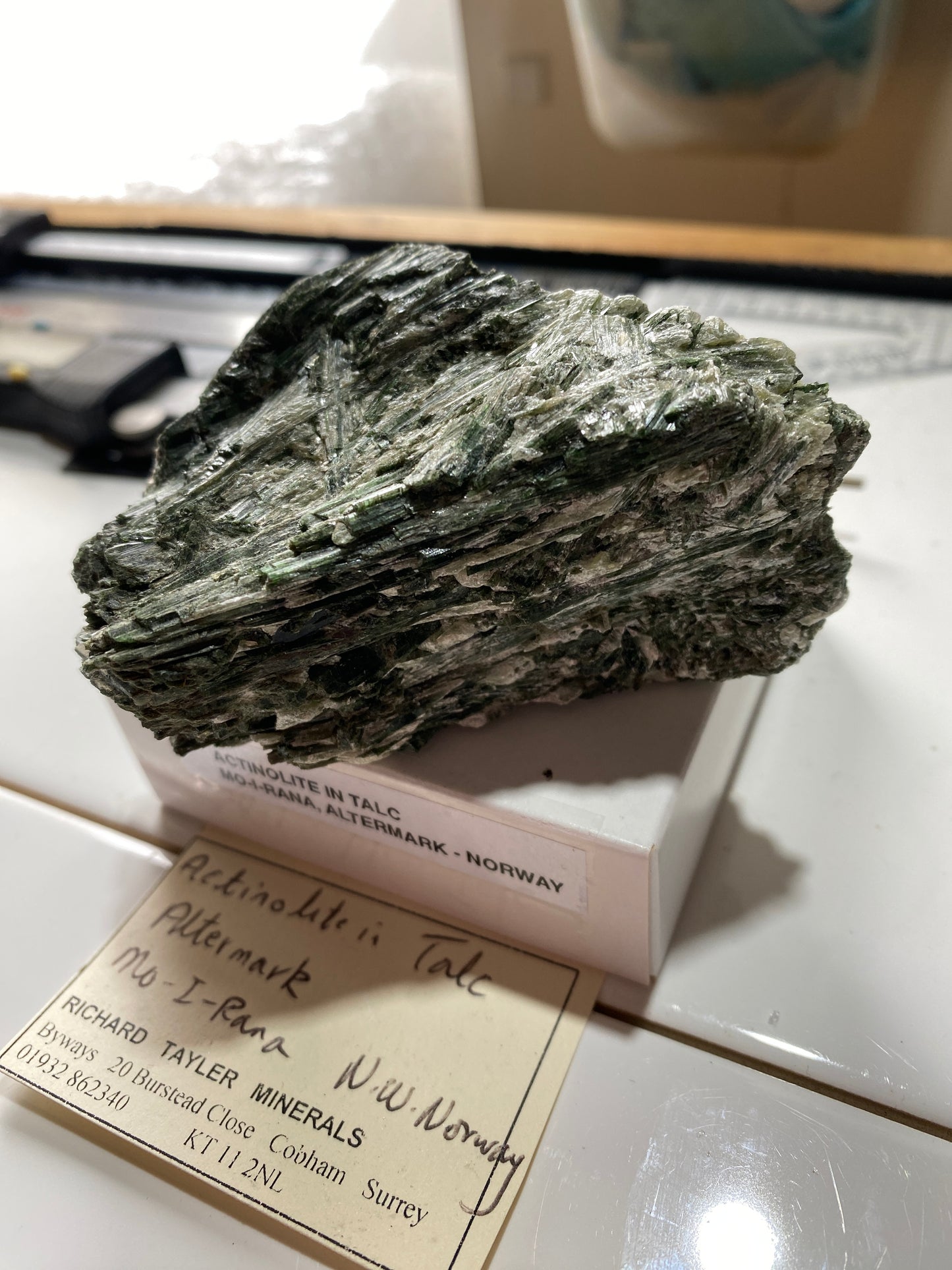 ACTINOLITE IN TALC : MO-I-RANA, ALTERMARK, NORWAY   204g MF4877