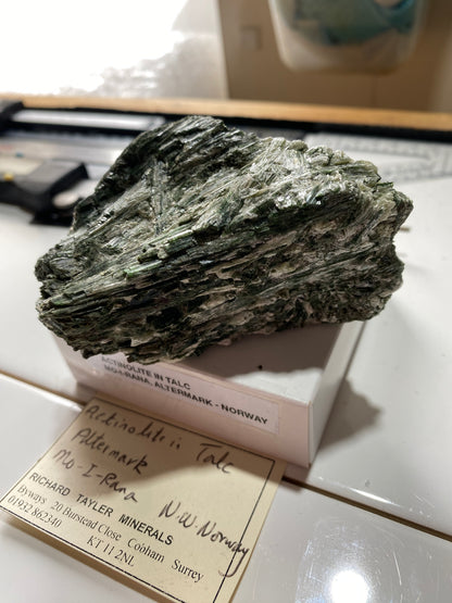 ACTINOLITE IN TALC : MO-I-RANA, ALTERMARK, NORWAY   204g MF4877