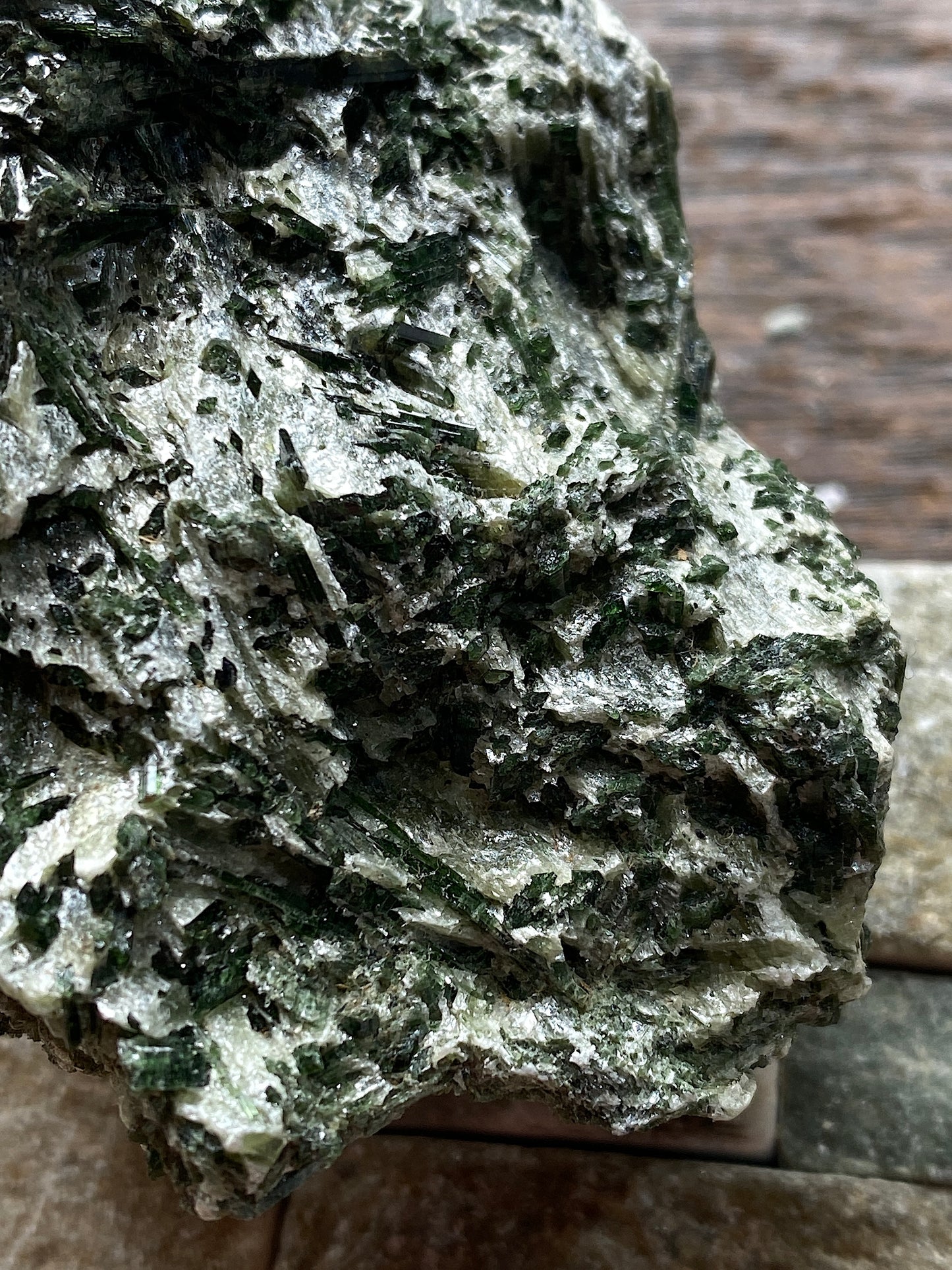 ACTINOLITE IN TALC : MO-I-RANA, ALTERMARK, NORWAY   204g MF4877