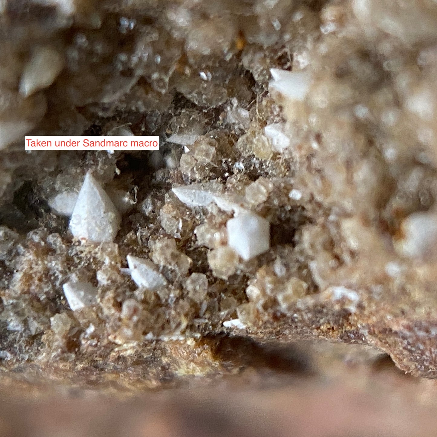 ALSTONITE ON MATRIX - RHIWSAESON MINE, LLANTRISANT, WALES -U.K. 37g MF1181