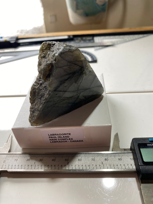 LABRADORITE [PLAGIOCLASE] : PAUL ISLAND, NAIN COMPLEX, LABRADOR, CANADA 197g MF4883