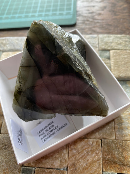 LABRADORITE [PLAGIOCLASE] : PAUL ISLAND, NAIN COMPLEX, LABRADOR, CANADA 197g MF4883
