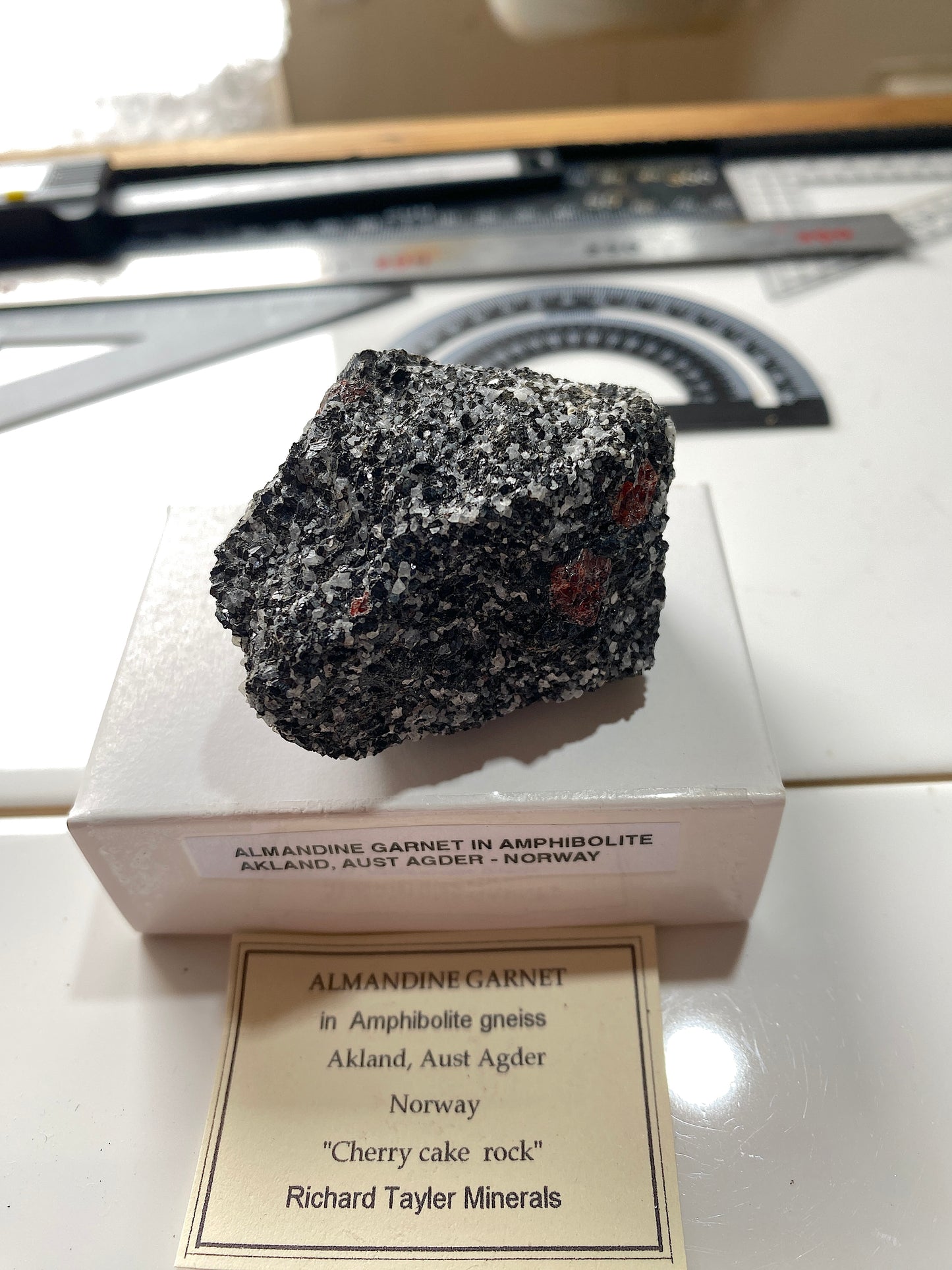 ALMANDINE GARNET IN AMPHIBOLITE "CHERRY CAKE " : AKLAND, NORWAY 104g MF4884