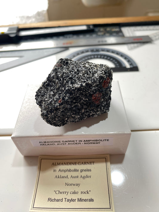 ALMANDINE GARNET IN AMPHIBOLITE "CHERRY CAKE " : AKLAND, NORWAY 104g MF4884