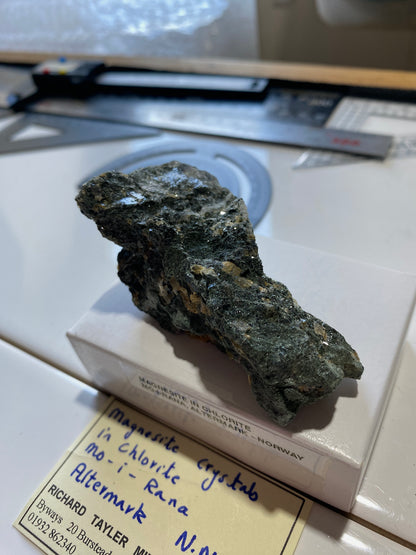 MAGNESITE CRYSTALS IN CHLORITE : MO-I-RANA, ALTERMARK, NORWAY 71g MF4886