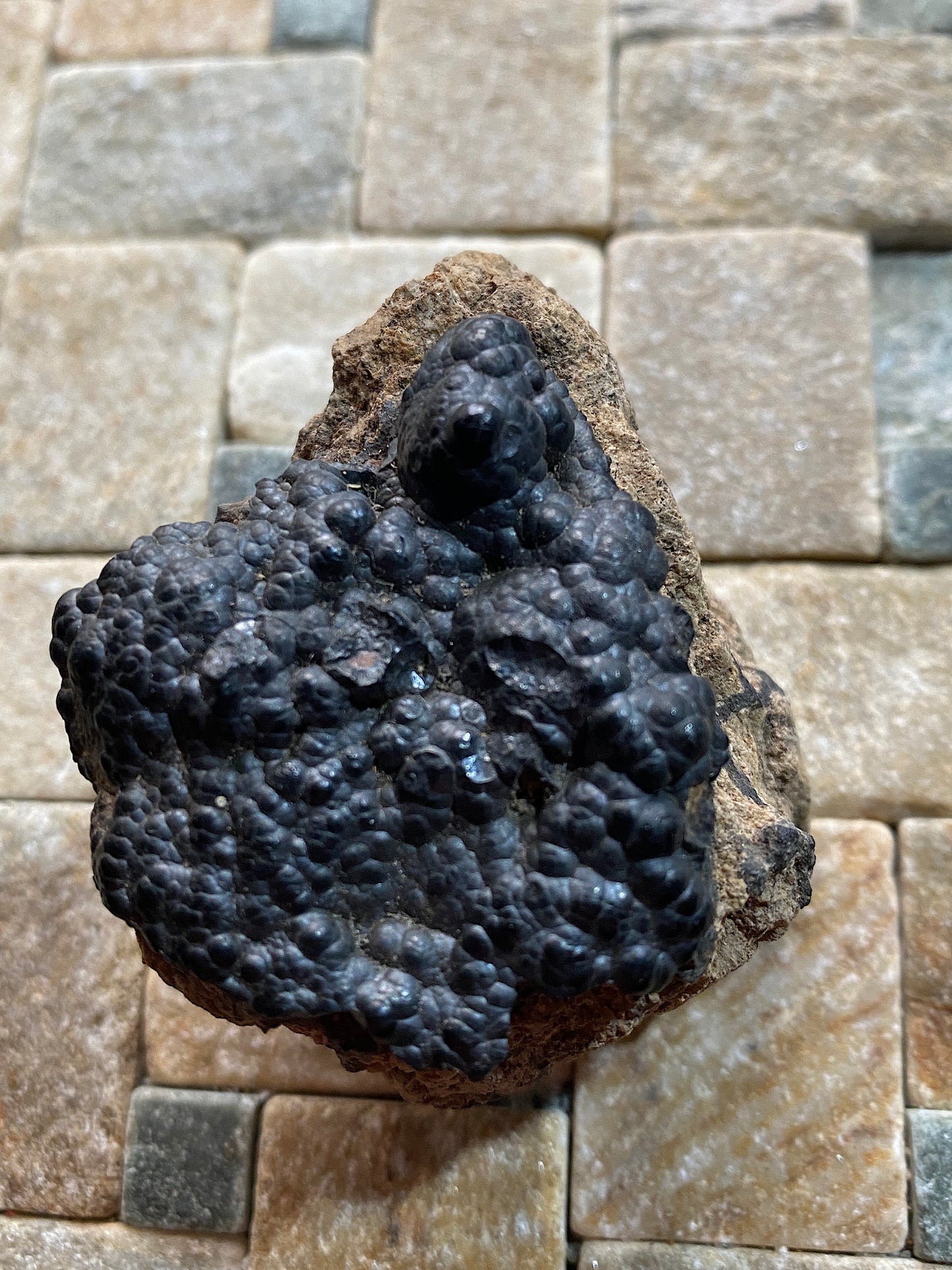 HOLLANDITE ON MATRIX : MYNYDD NODOL, GWYNEDD, WALES : 96g MF4887