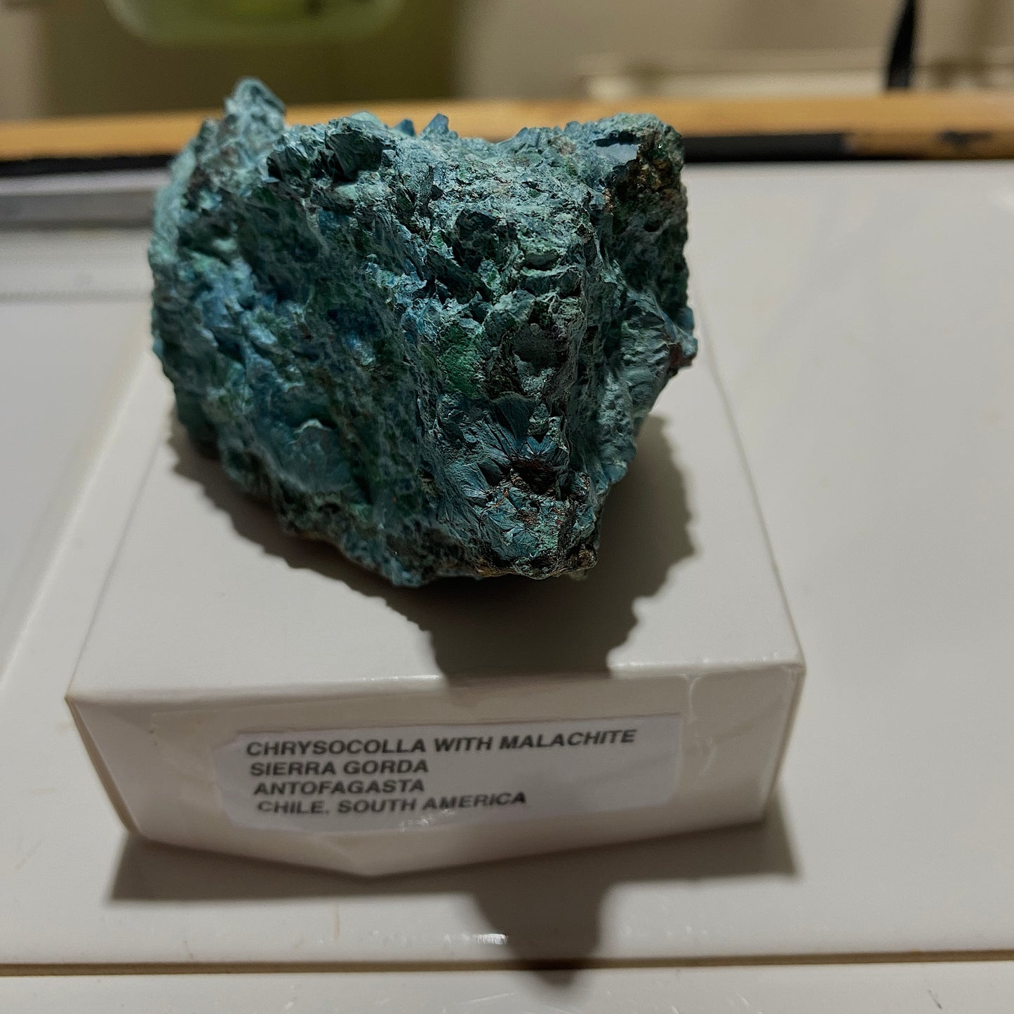 CHRYSOCOLLA WITH MALACHITE- SIERRA GORDA, ANTOFAGASTA, CHILE  226g mf1250