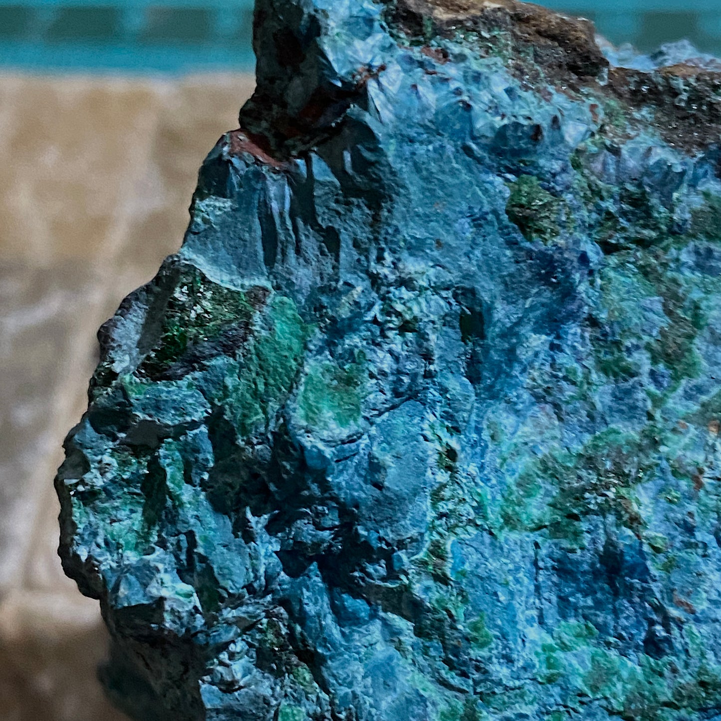CHRYSOCOLLA WITH MALACHITE- SIERRA GORDA, ANTOFAGASTA, CHILE  226g mf1250
