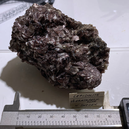 LEPIDOLITE MICA - VARUTRASK, SKELLEFTEA, SWEDEN  400g MF1282