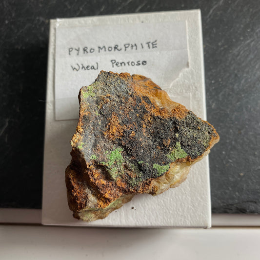 PYROMORPHITE ON MATRIX, WHEAL PENROSE, CORNWALL, ENGLAND 60g MF1655