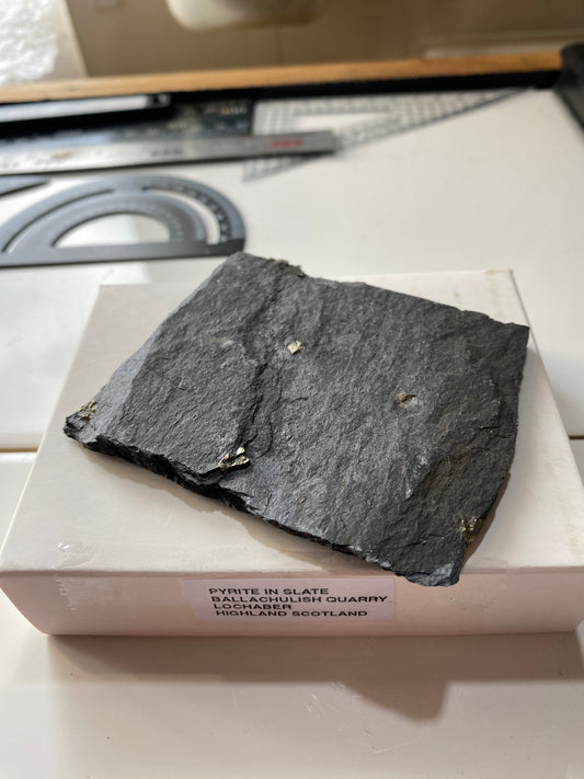 PYRITE IN SLATE : BALLACHULISH QUARRY, LOCHABER, HIGHLAND SCOTLAND 63g MF4902