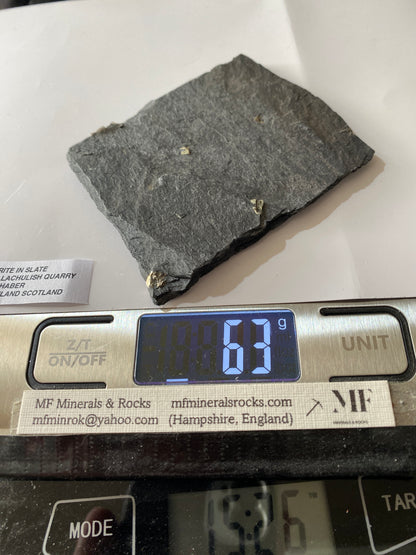 PYRITE IN SLATE : BALLACHULISH QUARRY, LOCHABER, HIGHLAND SCOTLAND 63g MF4902