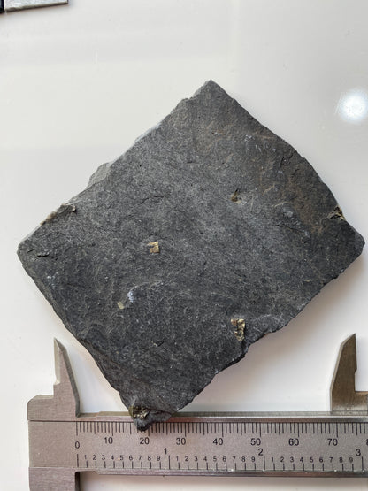PYRITE IN SLATE : BALLACHULISH QUARRY, LOCHABER, HIGHLAND SCOTLAND 63g MF4902