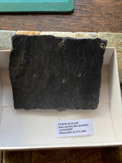 PYRITE IN SLATE : BALLACHULISH QUARRY, LOCHABER, HIGHLAND SCOTLAND 63g MF4902