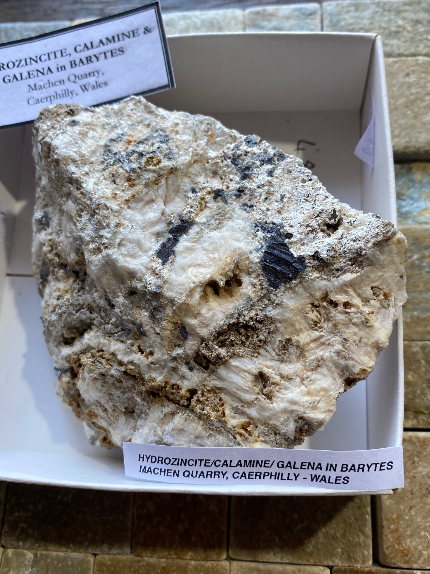 HYDROZINCITE/CALAMINE/GALENA IN BARYTE : MACHEN QUARRY, WALES 406g MF4891